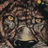 Даниил Ильин, 31.10, Санкт-Петербург