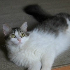 Анастасия Луговкина, 08.12