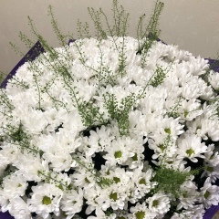 Наталья Александрова, 11.03