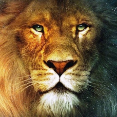 Antonio Vardanyan, 24.08, Москва