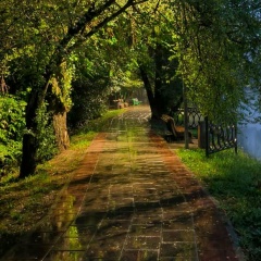 Фатима Тхостова, 01.03.1993, Москва