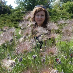 Леся Алексеенко, 15.12, Кривой Рог