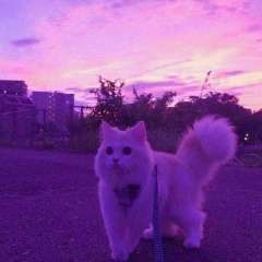 Анита Якупова, 06.09, Бишкек