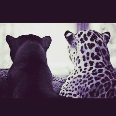 И И Исмаилов, Гянджа