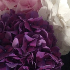 Venera Ibrayeva, 19.01.1987, Алматы