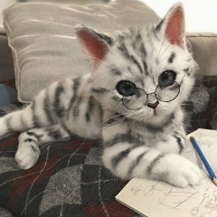 Адели Раимкулова