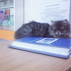 Милана Давтукаева, 16.10