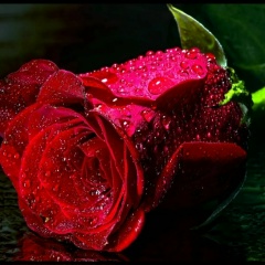 Анастасия Рахманова, 21.05, Санкт-Петербург