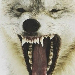 Aidos Koshpanov, 07.09.1993, Атырау