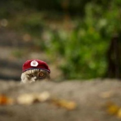 Лёха Насонов, Арзамас