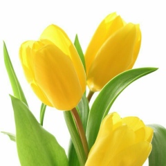 Бакыт Елгонова, 13.08, Астана