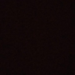 Mr Bazilevich, 29.01.1988, Алматы