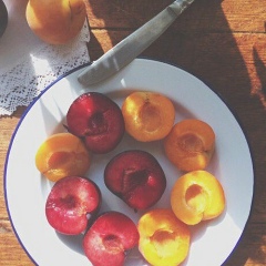 Kara Koks, 28.02.1992, Грозный