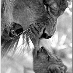 Леонид Калашников, 02.04.1906, Москва