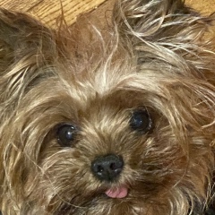 Алена Белешева, 29.01.1985, Москва