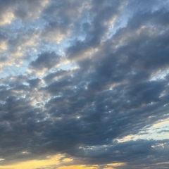 Mmmmmmm M, 17.09.1992