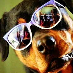 Артем Артем