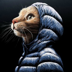 Александр Петрик, 29.12.1978, Бобруйск