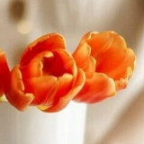 Саша Михальченко, 12.08.1984, Москва