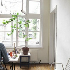 Арина Барышникова, 10.02.1998, Санкт-Петербург