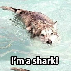 Антон Лосев, 14.02.1992, Павлодар