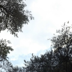 Владимир Потапов