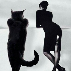 Виктор Волотовский, 01.08