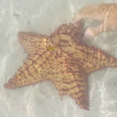 Любовь Логинова, 16.04, Мытищи