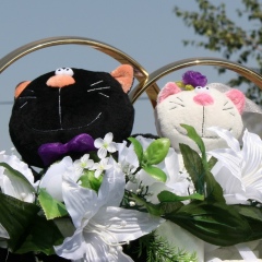 Галина Пак, 06.06.1982, Москва