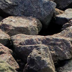 Илья Париков, 29.12, Санкт-Петербург