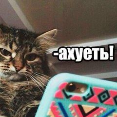 Rouslan Mansouroff, 08.12.1987, Несебър