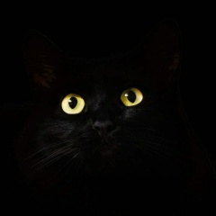 Владимир Царёв, 11.05.1988, Москва