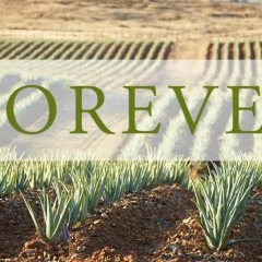 Βиктория Κопылова, 13.05.1978, Тюмень