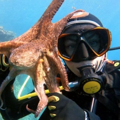 Мария Джорджевич-Соколовская, 03.02, Herceg-Novi