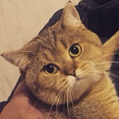 Tolik Kzlv, 21.05.1987, Киев