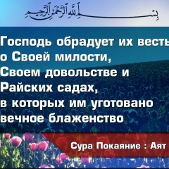 Артык Камалов, 12.11, Шымкент