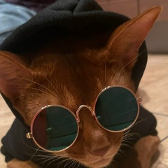 Евгений Федоров, Санкт-Петербург