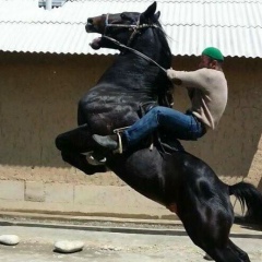 Аслан Батыров, 05.07, Ярославль