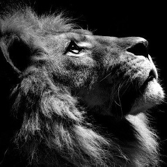 Ринат Хамитов, 07.08, Самара