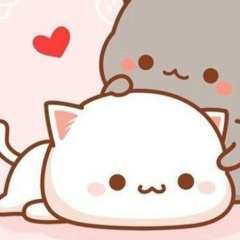 Наталья Андреевна, 23.12.1995, Симферополь