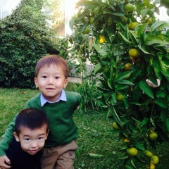 Гаухар Амреева, 01.11.1986, Talas