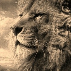 Герман Шевердяев, 16.08, Казань