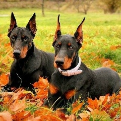 Ксения Маслова, 28.10.1996, Москва