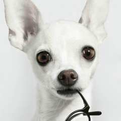 Ольга Ахтамьянова, 25.10, Сургут