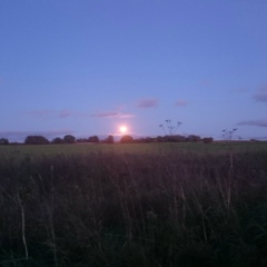 Сергей Геворков, 07.10.1979, Санкт-Петербург