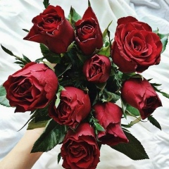 Анара Камалова, 09.09.1982, Алматы