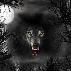 Hurshed Husainov, 04.01.1993, Худжанд