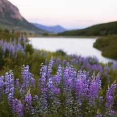 Валерия Евгеньевна, 30.10.1988