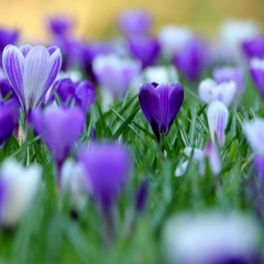 Наталья Шкригунова, 06.04, Смоленск