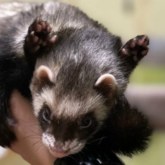 Данил Кузнецов, 11.10, Москва